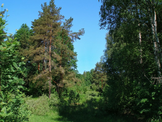 34215 (a): :1024x768
